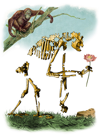 Science in Pictures